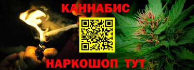 mdpv Краснознаменск
