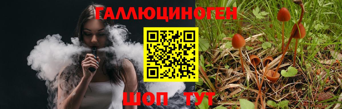 цены   Вход с VPN  Галлюциногенные грибы мицелий  Еманжелинск  Псилоцибиновые грибы GOLDEN TEACHER 
